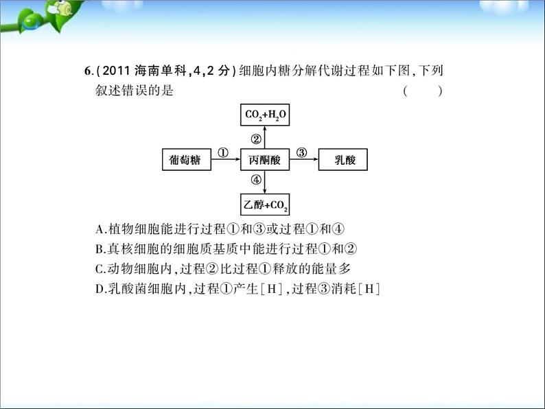 高考生物一轮复习课件：专题5_细胞呼吸第8页