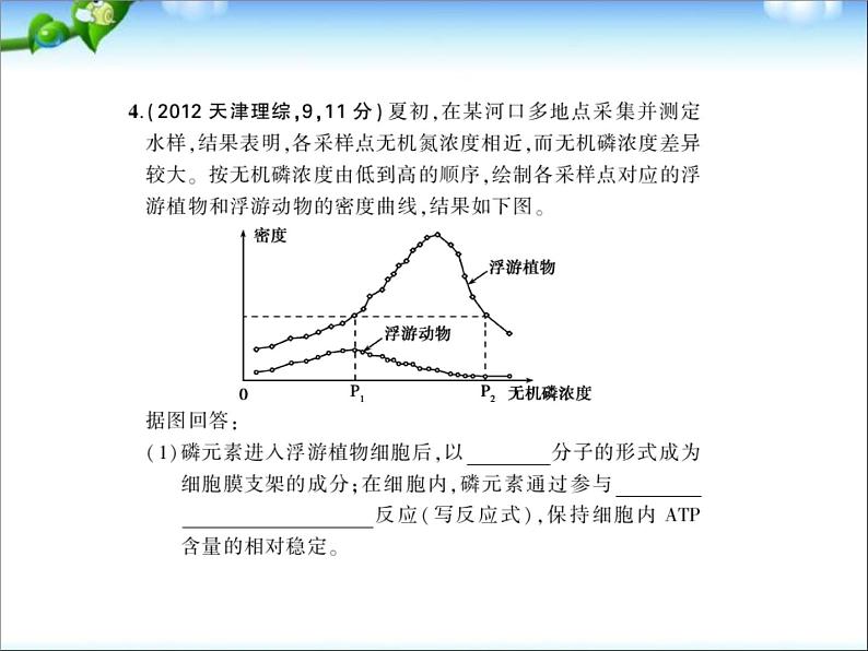 高考生物一轮复习课件：专题24_生态环境的保护第7页