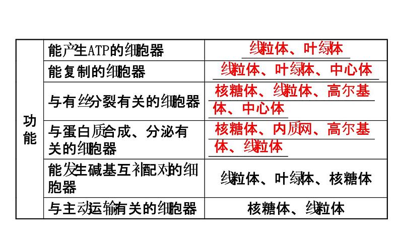 高考生物一轮总复习PPT课件3.206