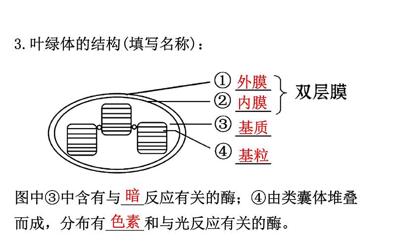 高考生物一轮总复习PPT课件5.4(一)06