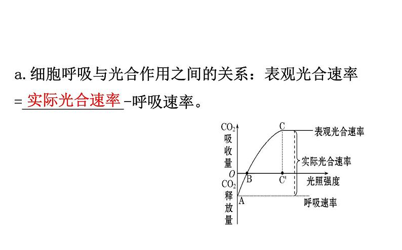 高考生物一轮总复习PPT课件5.4(二)05