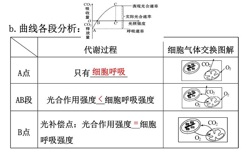 高考生物一轮总复习PPT课件5.4(二)06