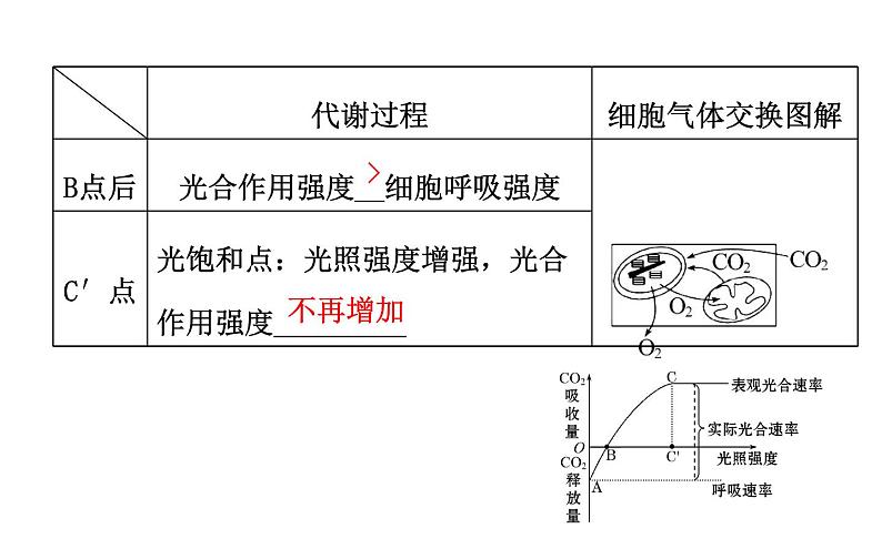 高考生物一轮总复习PPT课件5.4(二)07