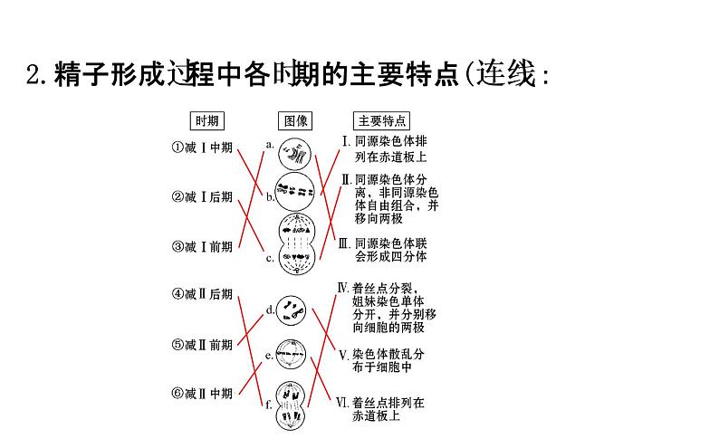 高考生物一轮总复习必修2PPT课件2.2.1第5页