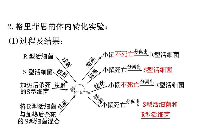 高考生物一轮总复习必修2PPT课件2.3.104