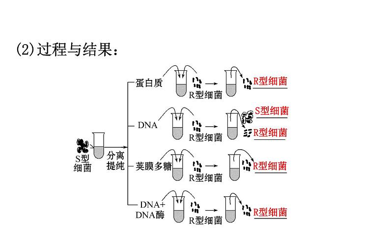 高考生物一轮总复习必修2PPT课件2.3.107