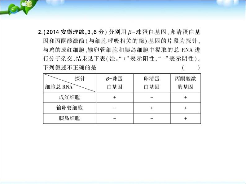 高考生物一轮复习课件：专题8_细胞的分化、衰老、凋亡和癌变03