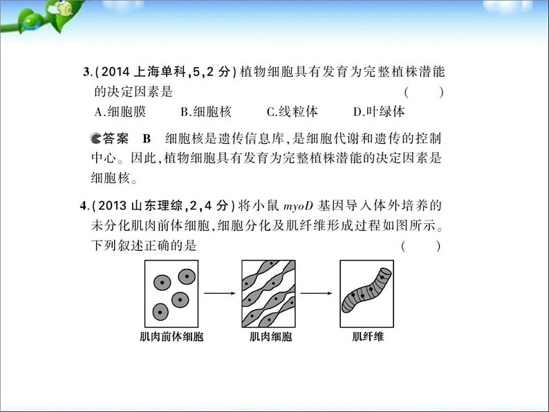 高考生物一轮复习课件：专题8_细胞的分化、衰老、凋亡和癌变05