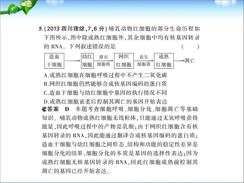 高考生物一轮复习课件：专题8_细胞的分化、衰老、凋亡和癌变07