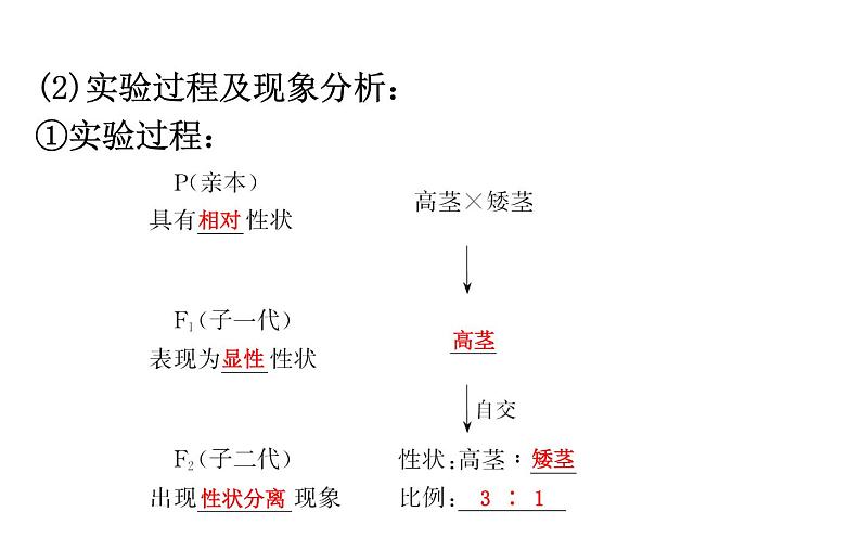 高考生物一轮总复习必修2PPT课件2.1.1第5页