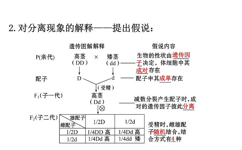 高考生物一轮总复习必修2PPT课件2.1.1第7页