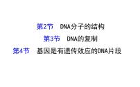 高考生物一轮总复习必修2PPT课件2.3.2～2.3.4