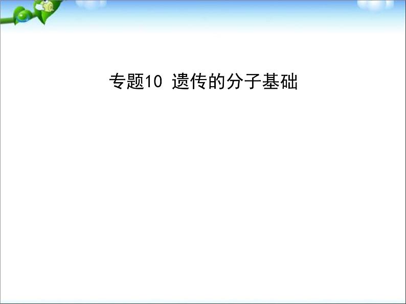 高考生物一轮复习课件：专题10_遗传的分子基础01