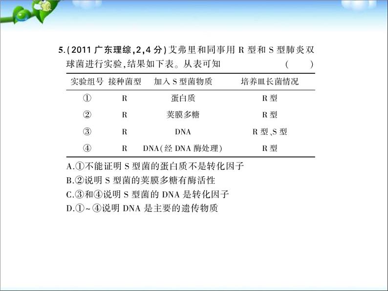 高考生物一轮复习课件：专题10_遗传的分子基础06