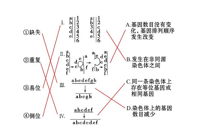 高考生物一轮总复习必修2PPT课件2.5.204