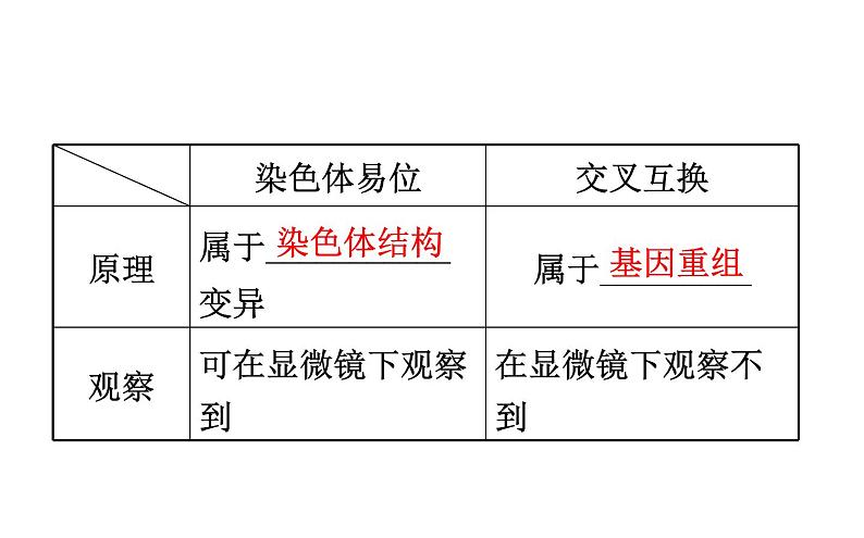 高考生物一轮总复习必修2PPT课件2.5.207