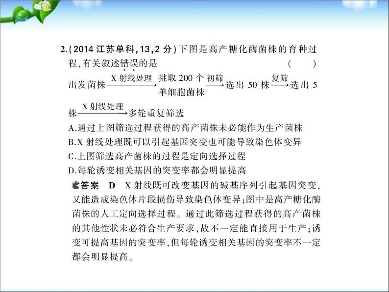 高考生物一轮复习课件：专题14_基因重组与基因突变第4页