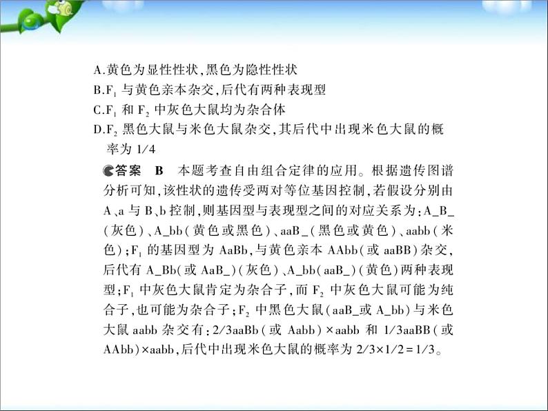 高考生物一轮复习课件：专题12_基因的自由组合定律03