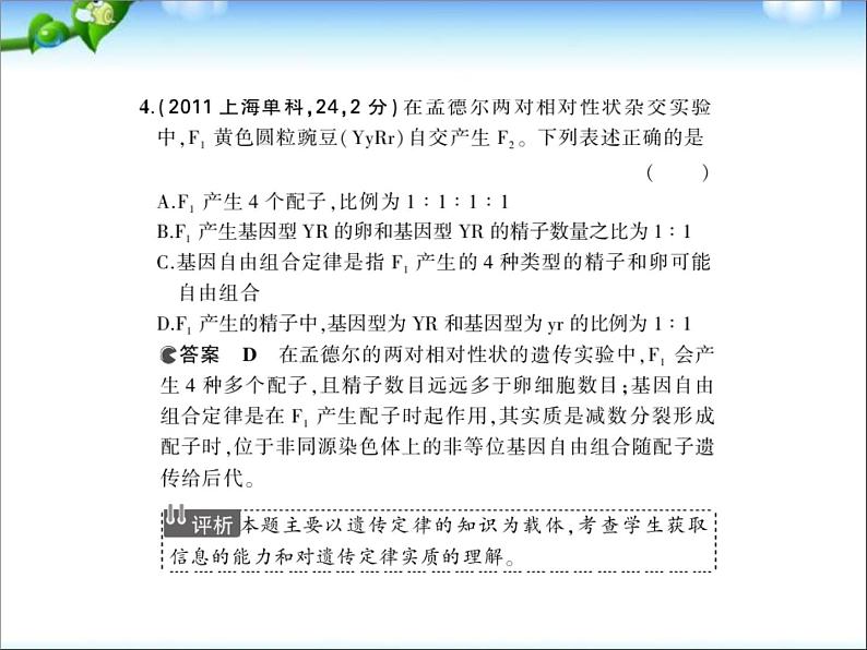 高考生物一轮复习课件：专题12_基因的自由组合定律07