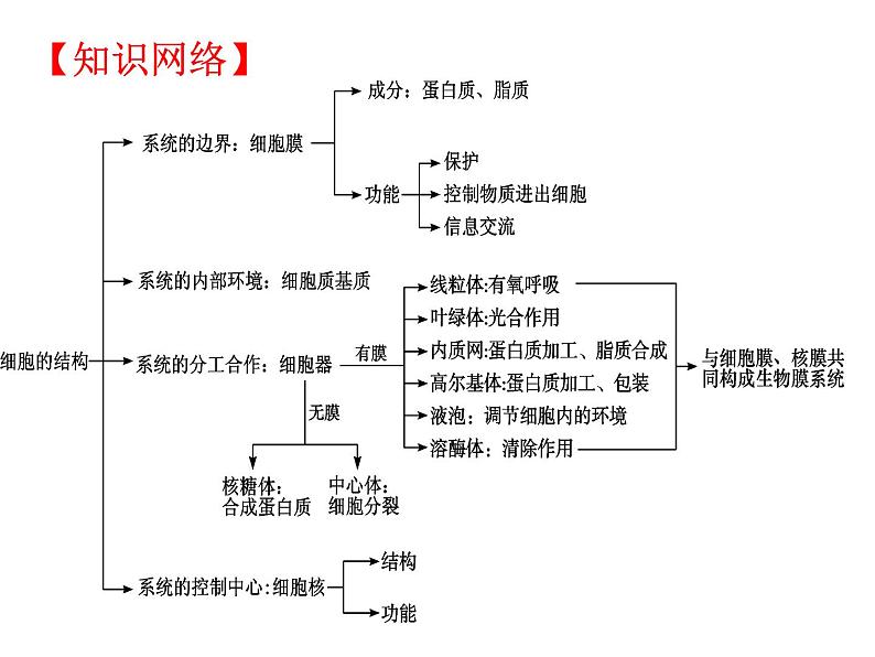 高三生物二轮复习精品课件1专题一细胞的分子组成和结构第4页