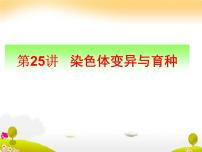 生物高考一轮复习染色体变异与育种