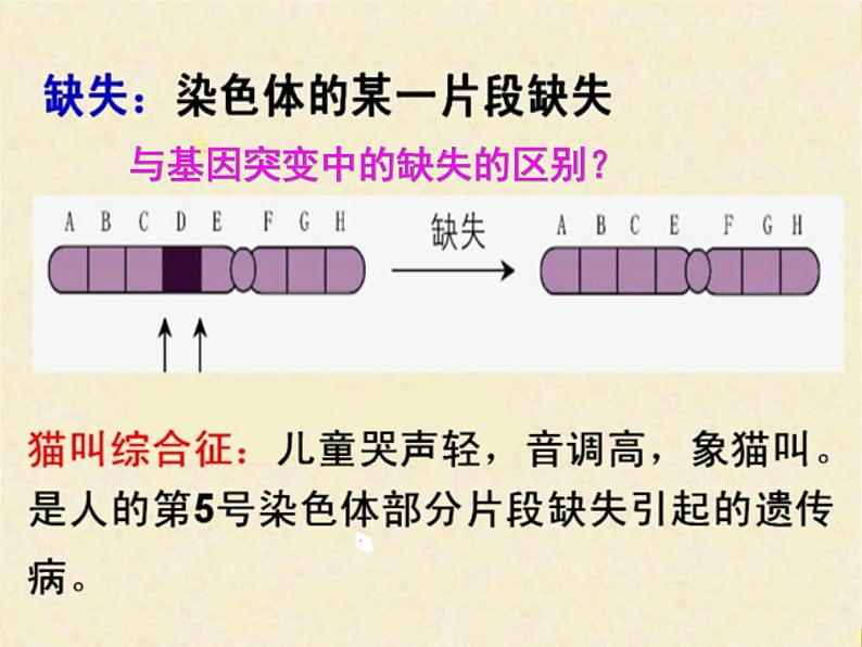 生物高考一轮复习染色体变异与育种 课件03