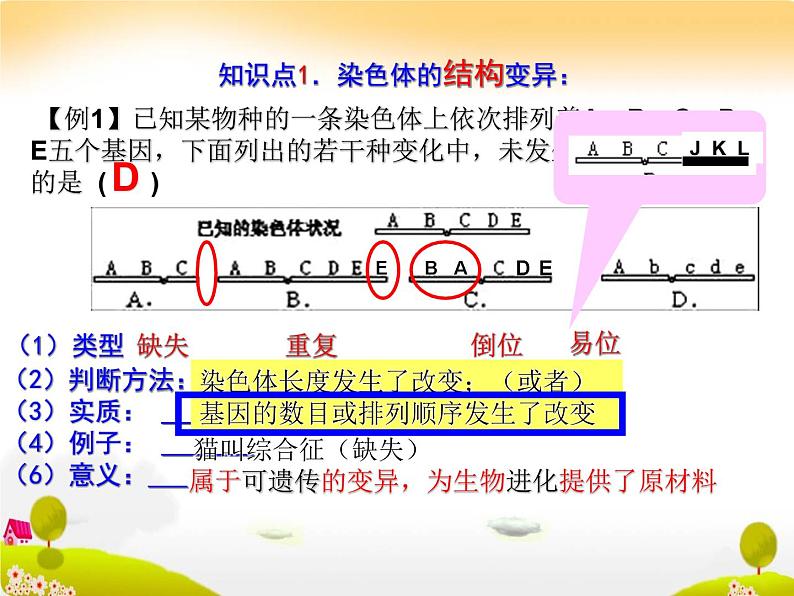 生物高考一轮复习染色体变异与育种 课件05