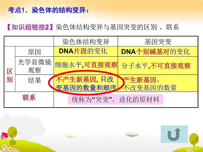 生物高考一轮复习染色体变异与育种 课件07