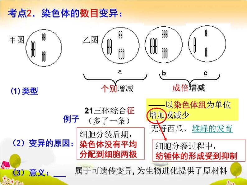 生物高考一轮复习染色体变异与育种 课件08