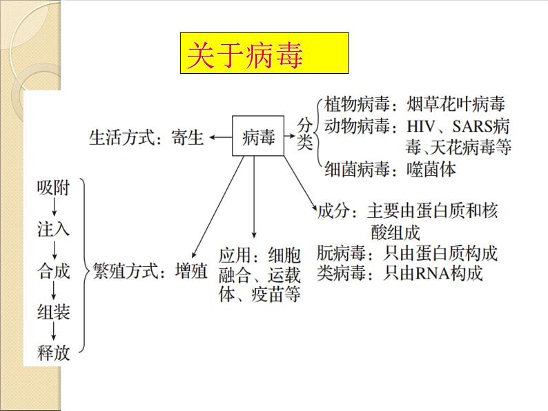 高中生物一轮复习_第一讲_走近细胞第5页