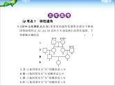 高考生物一轮复习课件：专题13_伴性遗传与人类遗传病