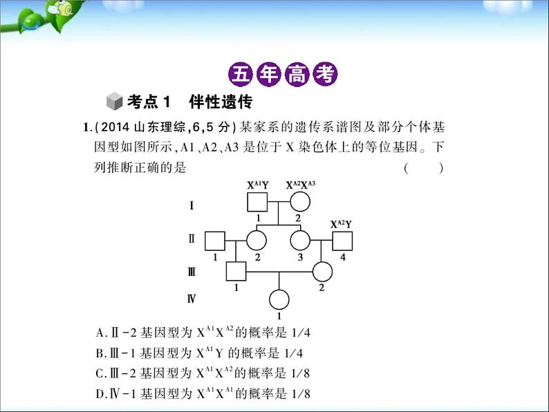 高考生物一轮复习课件：专题13_伴性遗传与人类遗传病02