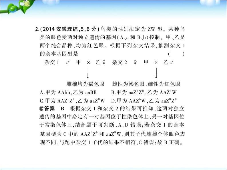 高考生物一轮复习课件：专题13_伴性遗传与人类遗传病04