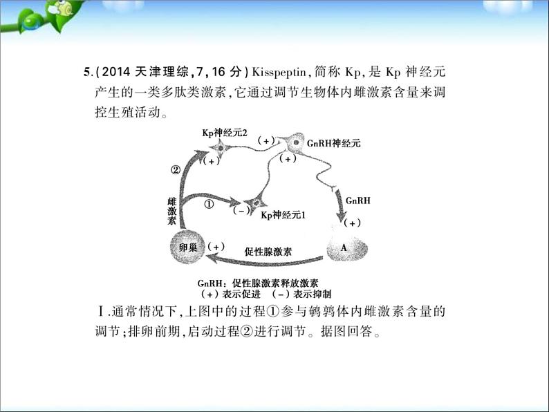 高考生物一轮复习课件：专题19_人和高等动物的体液调节07