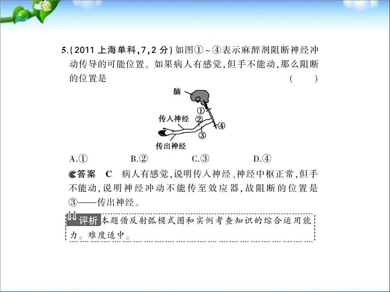 高考生物一轮复习课件：专题18_人和高等动物的神经调节07