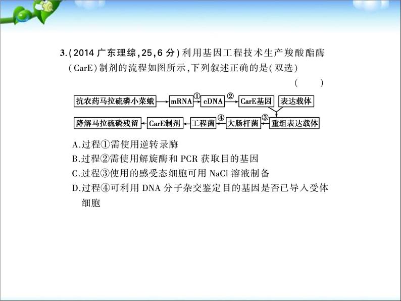 高考生物一轮复习课件：专题29_基因工程第5页