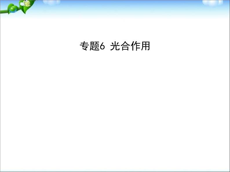 高考生物一轮复习课件：专题6-光合作用第1页