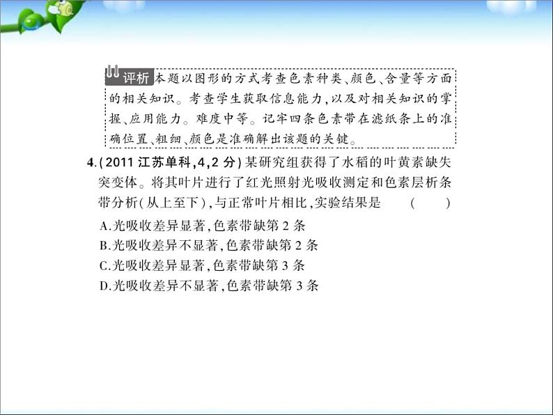 高考生物一轮复习课件：专题6-光合作用第5页