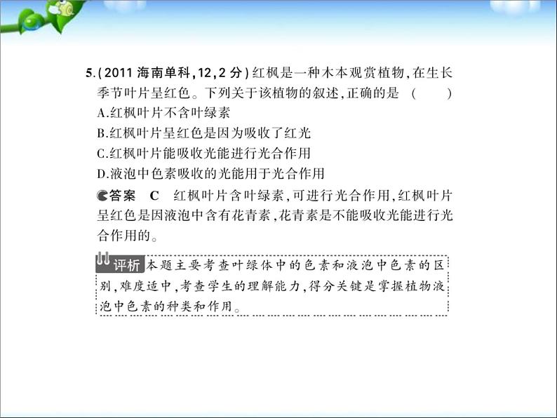 高考生物一轮复习课件：专题6-光合作用第7页