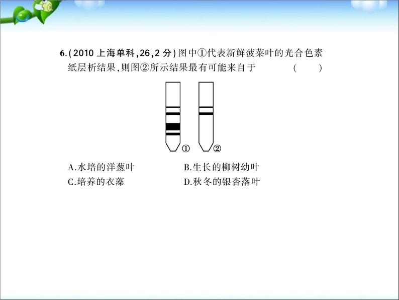 高考生物一轮复习课件：专题6-光合作用第8页