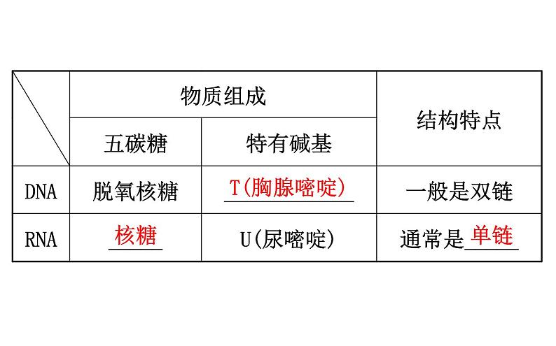 高考生物一轮总复习必修2PPT课件2.4第4页