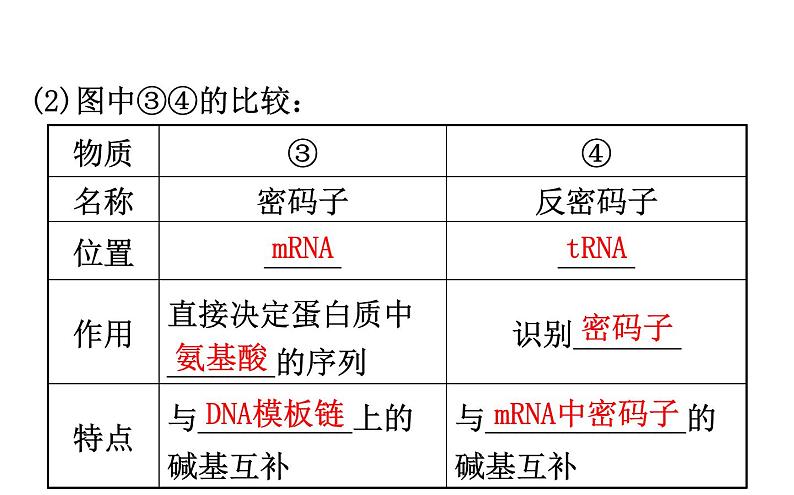 高考生物一轮总复习必修2PPT课件2.4第8页