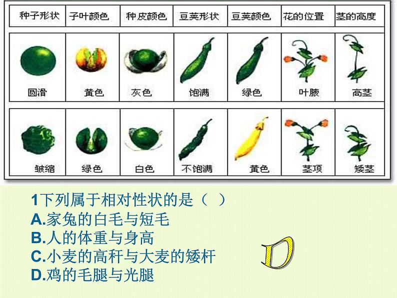 高三生物一轮复习必修二全册课件第4页