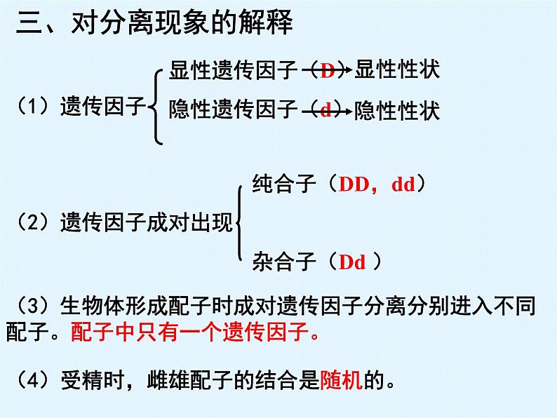 高三生物一轮复习必修二全册课件第6页