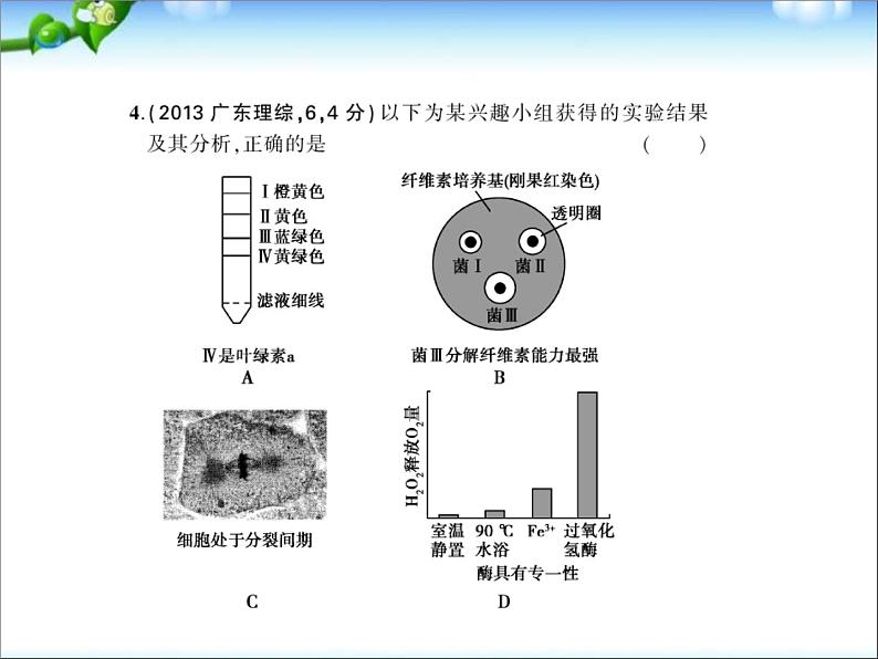 高考生物一轮复习课件：专题25_实验与探究06