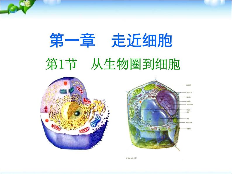 高考生物一轮复习必修一全套精品课件(406张精美PPT)第2页