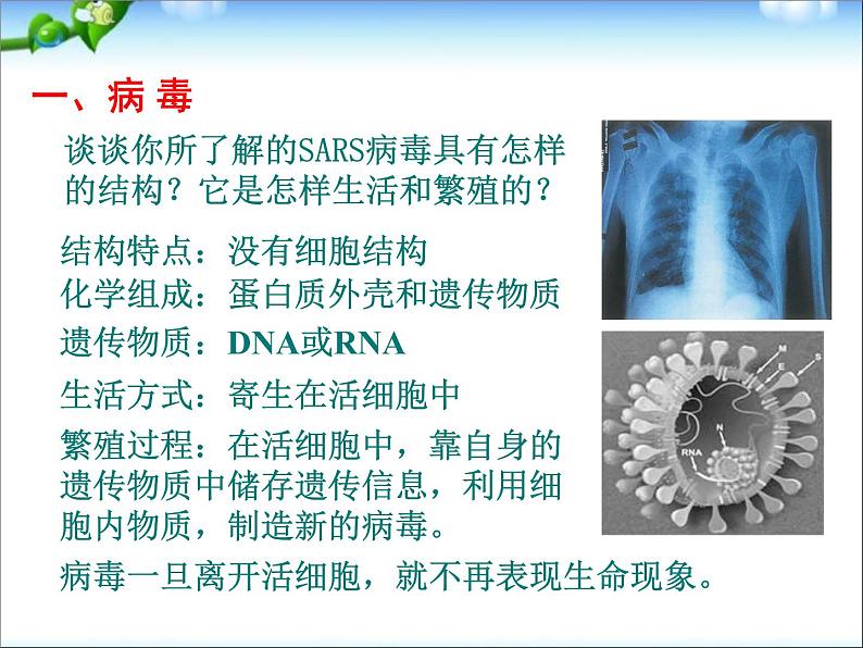 高考生物一轮复习必修一全套精品课件(406张精美PPT)第3页