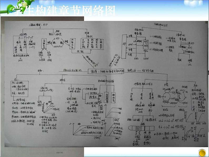 高考一轮复习策略研讨生物1第6页