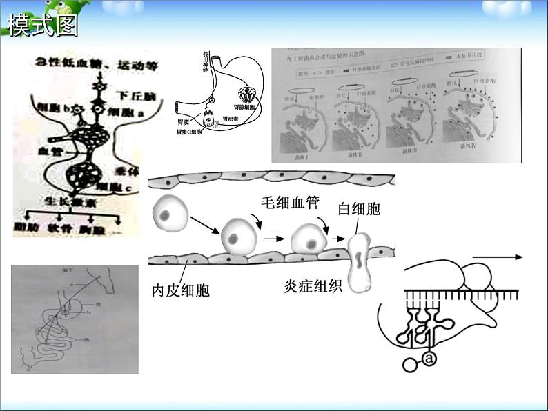 高考一轮复习策略研讨生物1第8页