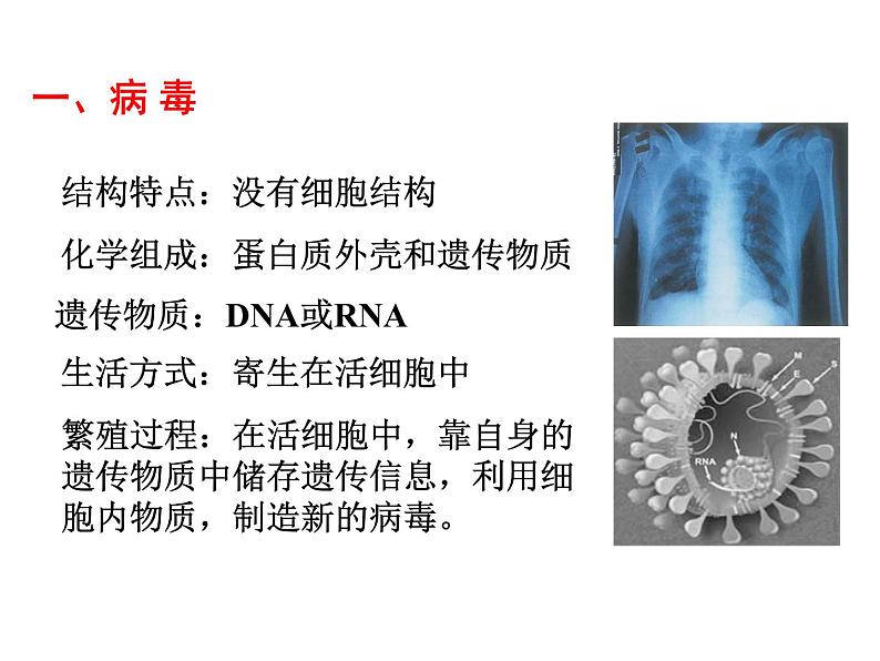 高三生物第一轮复习__必修一全套课件03